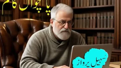 تنہا کر گئی