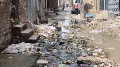رانا ٹاؤن