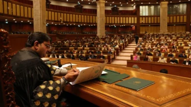پنجاب: معطل ارکان