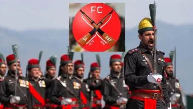 فرنٹیئر کانسٹیبلری فیڈرل فورس میں تبدیل