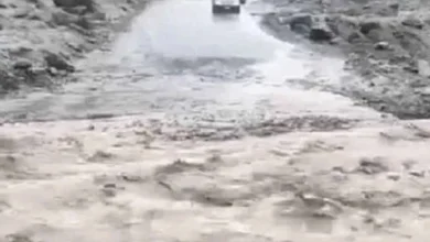حالیہ بارش اور سیلاب کے باعث 13 افراد جاں بحق