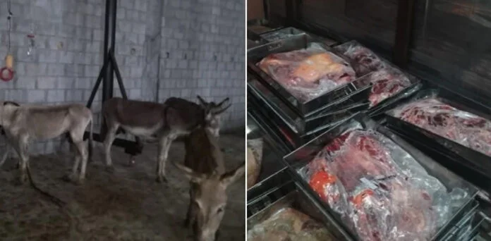 بٹگرام: گدھے کا گوشت فروخت، 2 افراد گرفتار 1 گدھے کا گوشت