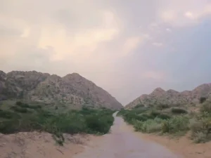 کر