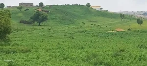 تھرپارکر کی سیر – پارٹ 4 3 کی