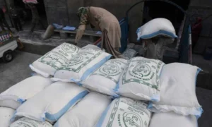 ذخیرہ