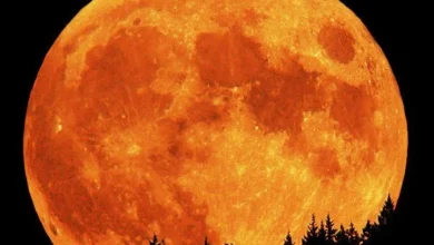 7 اکتوبر کو پاکستان کے آسمان پر سال کا پہلا سپر مون جگمگائے گا 7 پاکستان