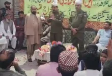 ڈی