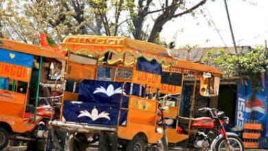 لاہورکی 5ماڈل سڑکوں پرچنگ چی رکشوں پرپابندی 6 Ban on Chingchi Rickshaws