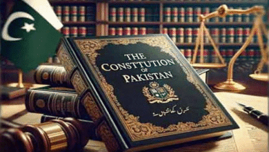 Constitutional Amendment copy