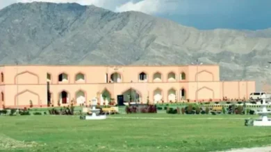 Wana Cadet College attack