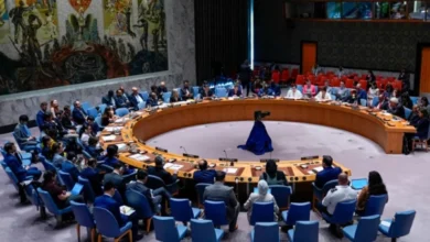 سلامتی کونسل