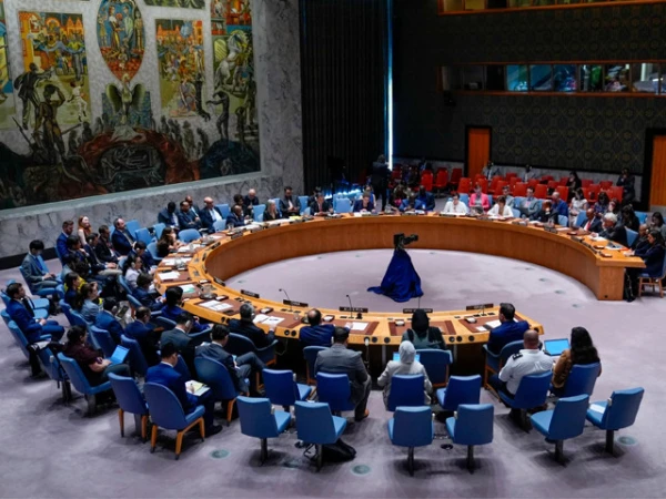 سلامتی کونسل