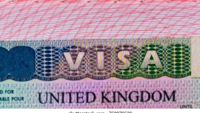 ویزا ایجنٹ مافیا کی شامت آگئی 5 ویزا ایجنٹ مافیا