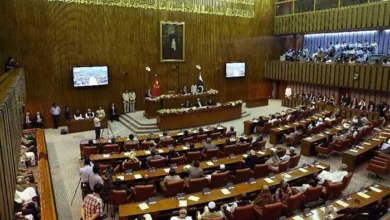 ن لیگی رہنمابلامقابلہ سینیٹر منتخب 10 سینیٹ