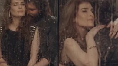 شفقت امانت علی اور ریشم