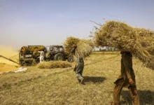 صنعتی و زرعی ترقی ،حکومت کا انقلابی قدم