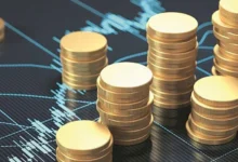 ڈیجیٹل اکانومی،پاکستان کی بڑی انٹری