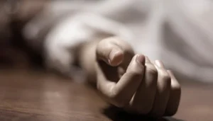 پاکستانی نژاد