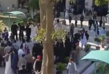 زرعی یونیورسٹی