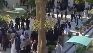 زرعی یونیورسٹی