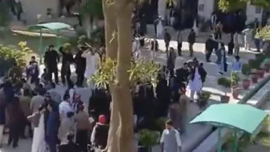 زرعی یونیورسٹی