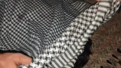 تایا