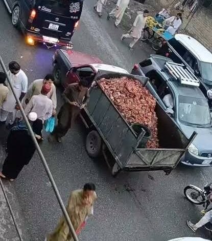 مرغیوں کی باقیات، بدبو پھیلانے کا باعث، بیماریوں کا خدشہ 1 مرغی